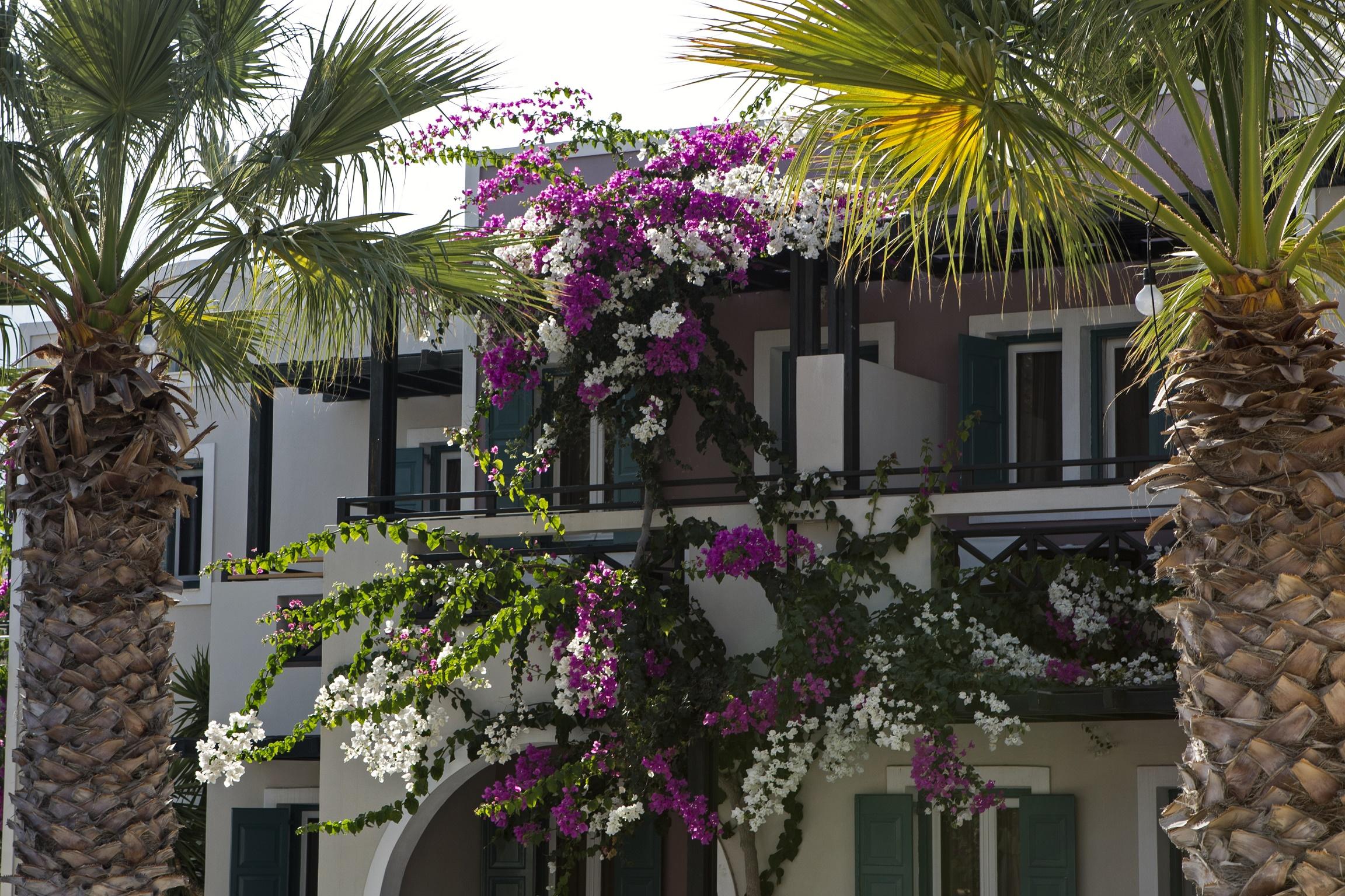 Rose Bay Hotel Kamari  Exterior photo