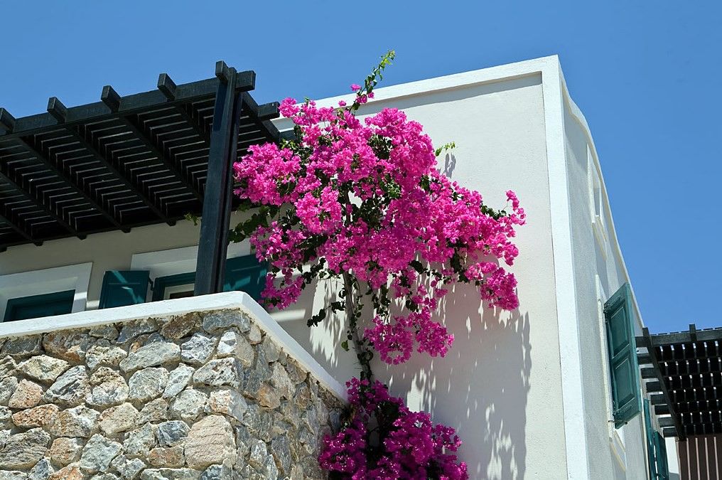 Rose Bay Hotel Kamari  Exterior photo